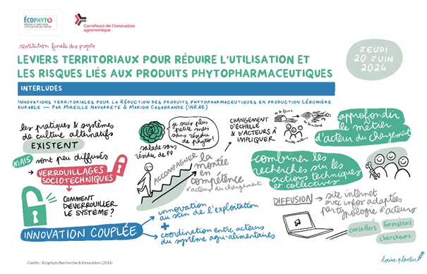 Schéma leviers territoriaux