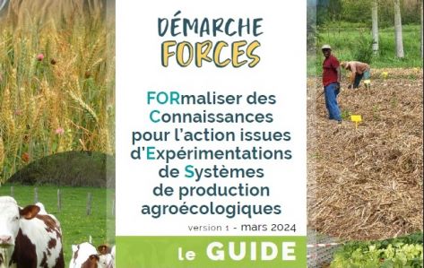 Guide FORCES