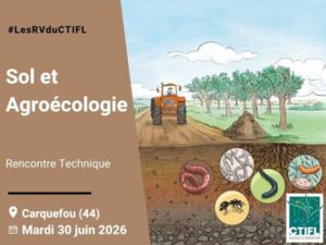 rt_agroécologie.jpg rt_agroécologie.jpg