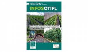 HS Infos Ctifl Fertilisation azotee