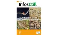 HS Infos Ctifl Nématodes à galles