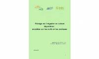 Pilotage-de-l-irrigation-en-cultures-legumieres