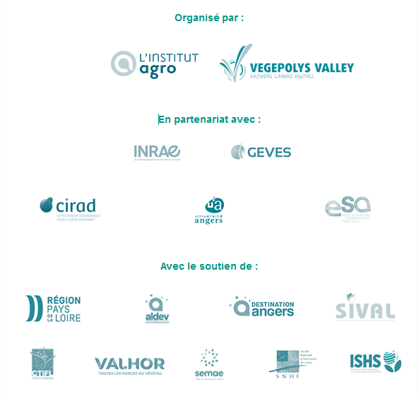 Rv&eacute;g&eacute;tal organisation.png