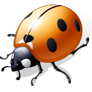 Coccinelle